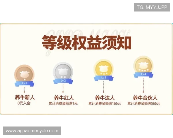 提高PA视讯倍投成功率的实用技巧与常见误区分析